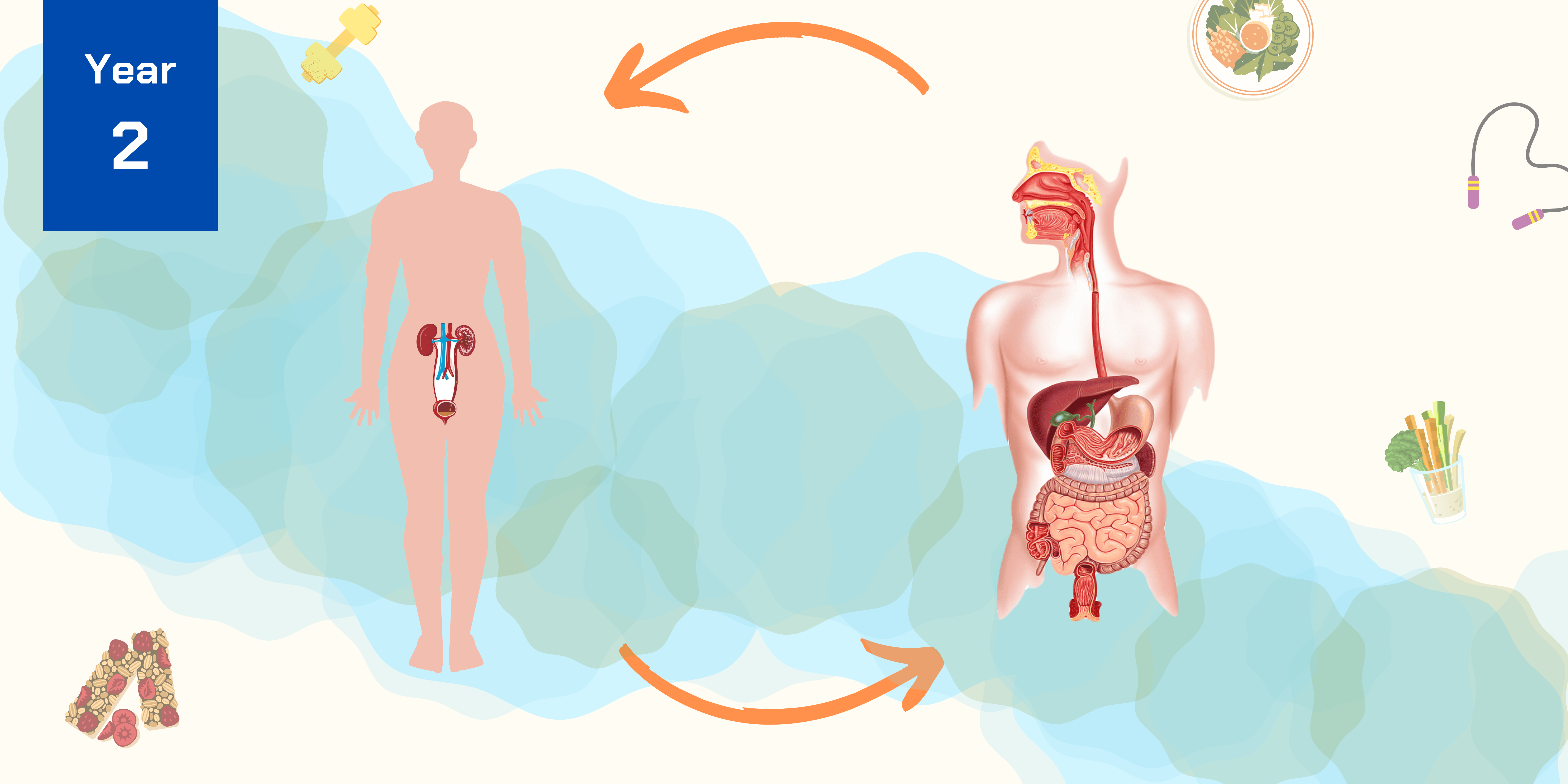 CHMD 2302 Fluids, Nutrition and Metabolism (1/2022)