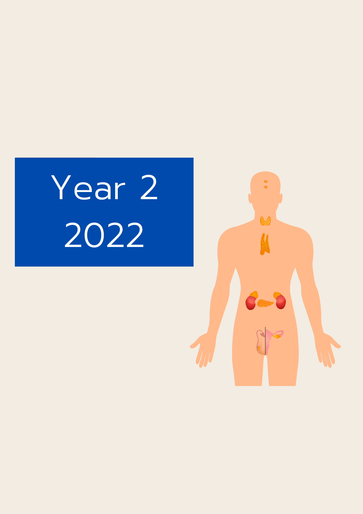 CHMD 2303 Endocrine System and Reproduction (2/2022)