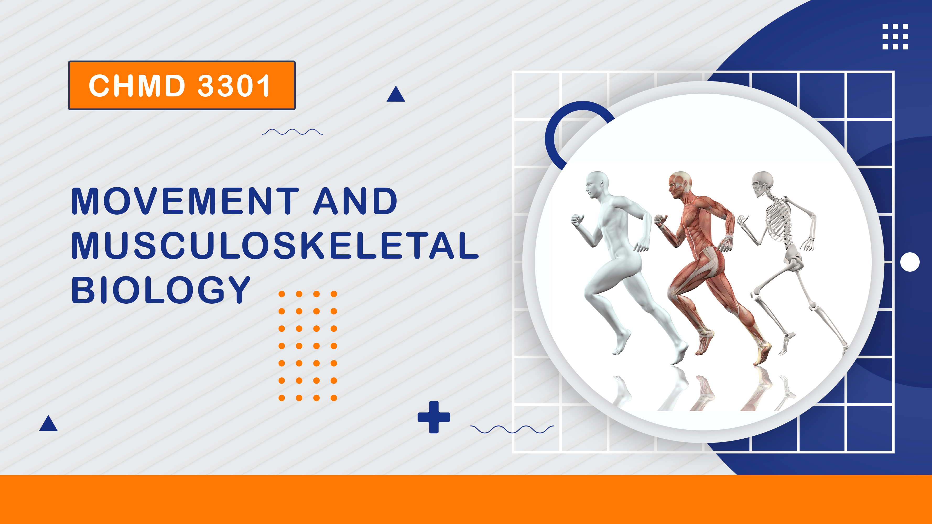 (1/2023) CHMD 3301 Movement and Musculoskeletal Biology