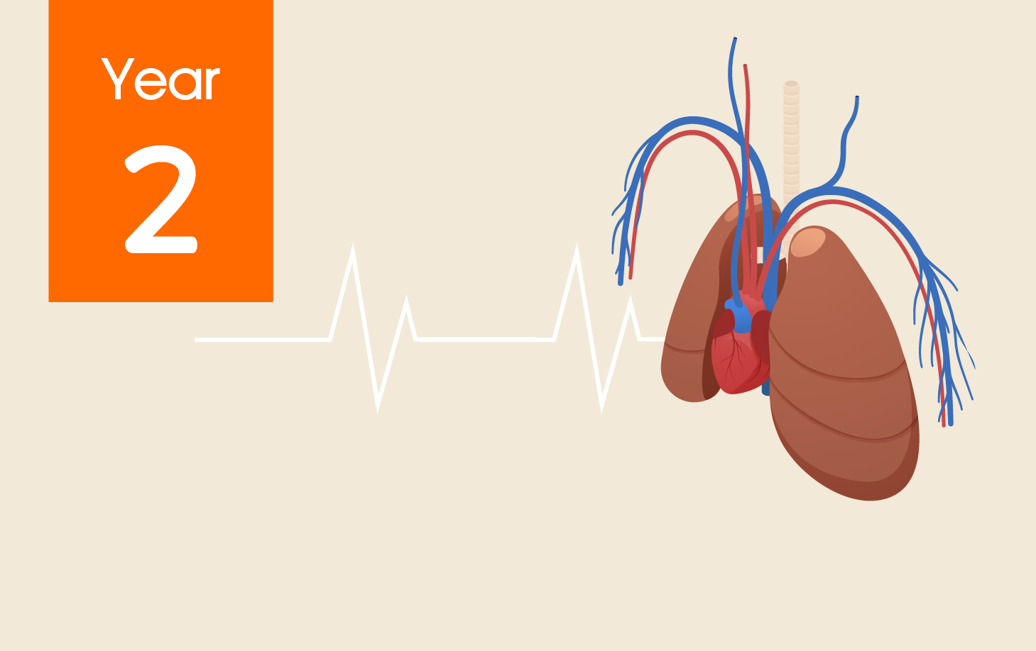 CHMD 2103 Physical Education (Circulation and Breathing) (1/2021)