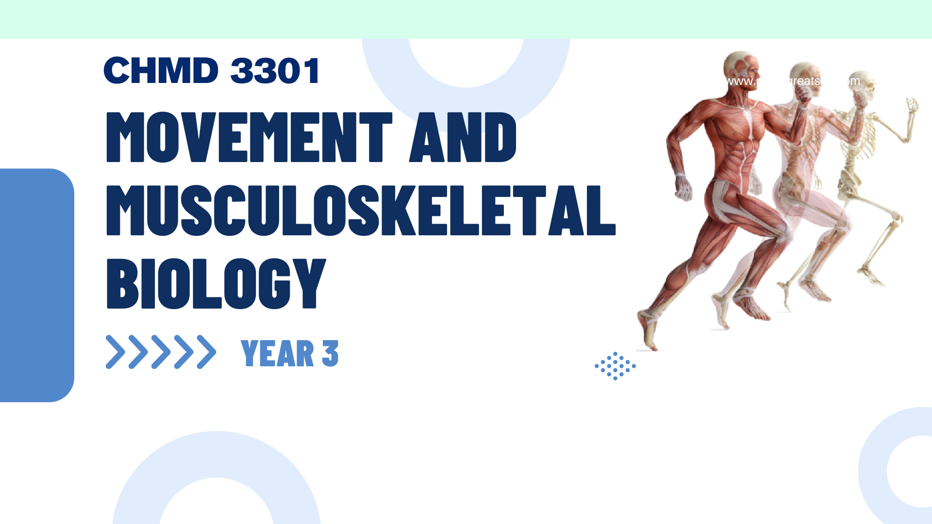 (1/2025) CHMD 3301 Movement and Musculoskeletal Biology