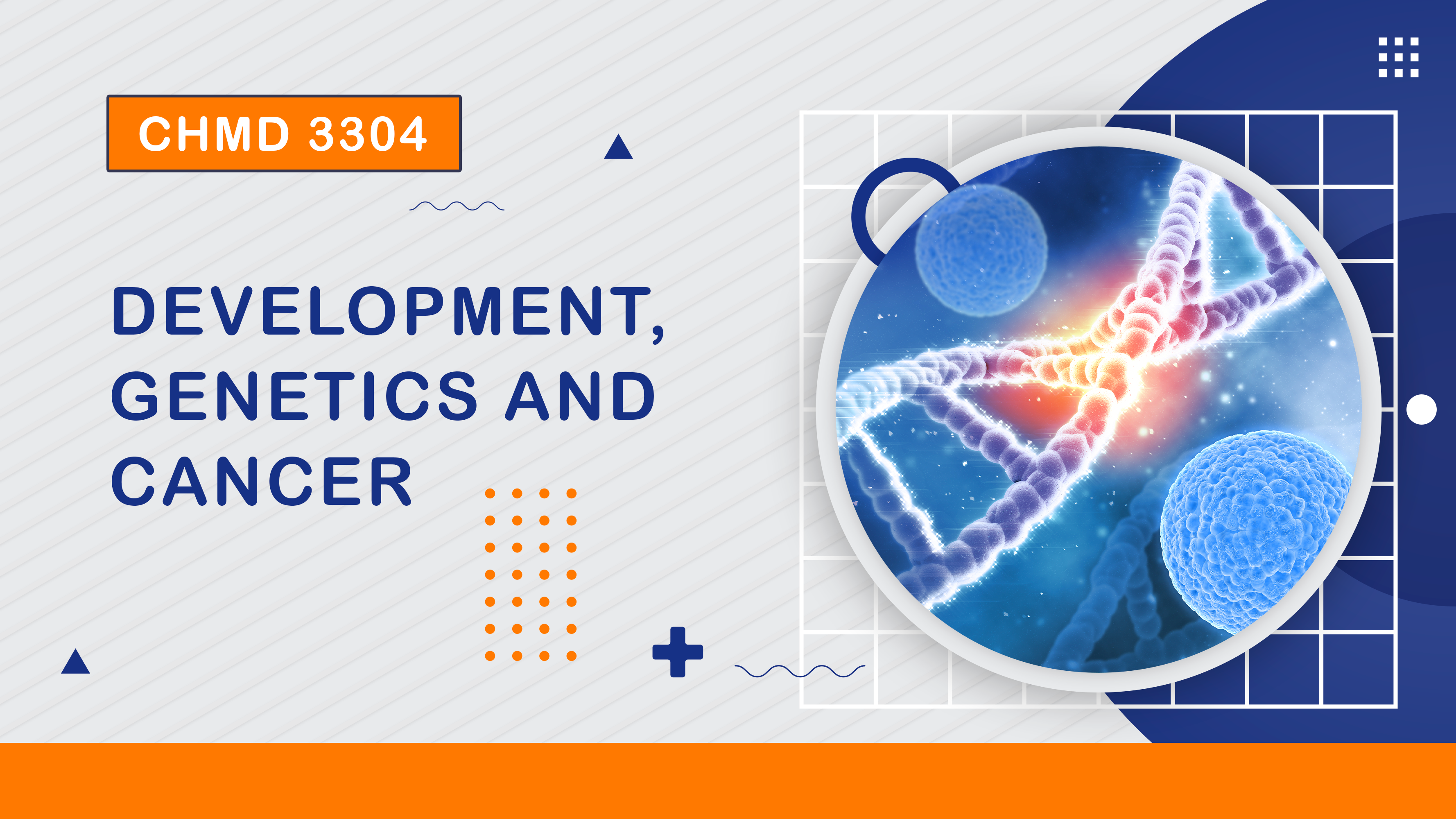 (2/2025) CHMD 3304 Development, Genetics and Cancer