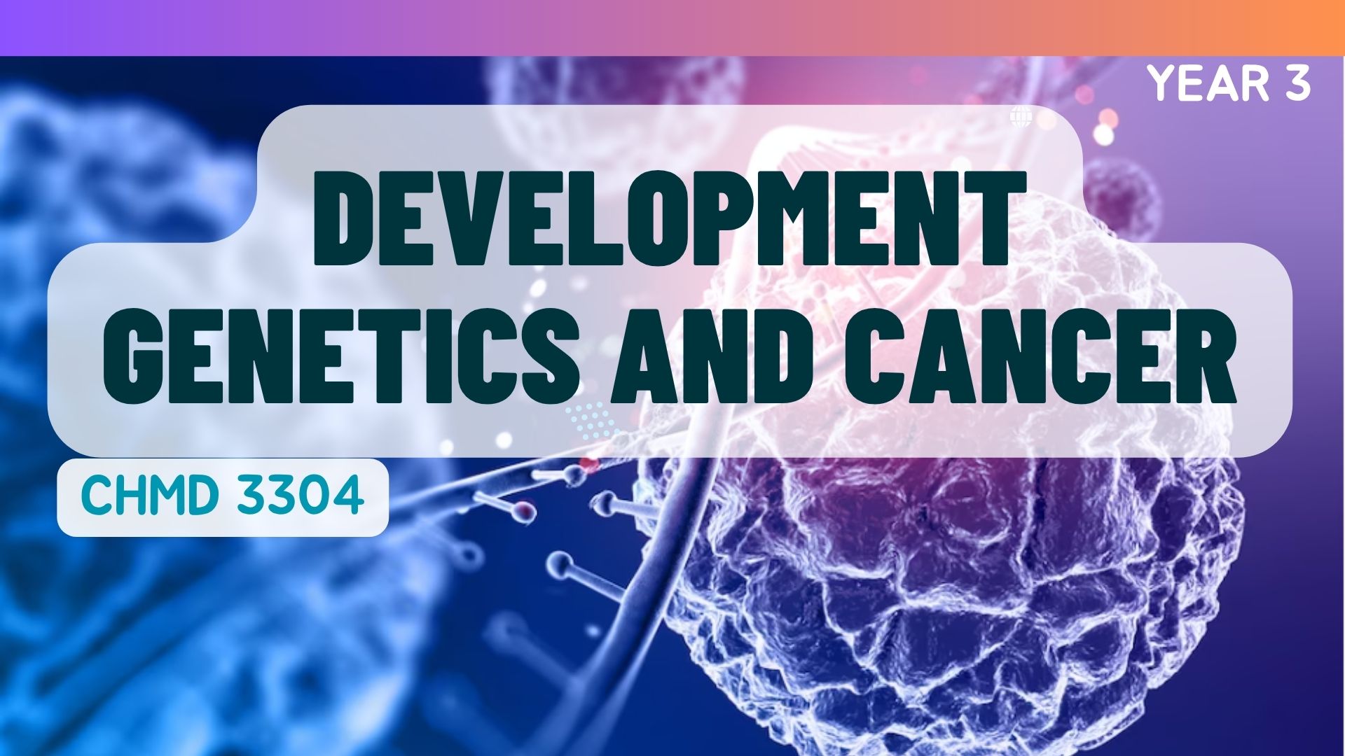 (2/2025) CHMD 3304 Development, Genetics and Cancer