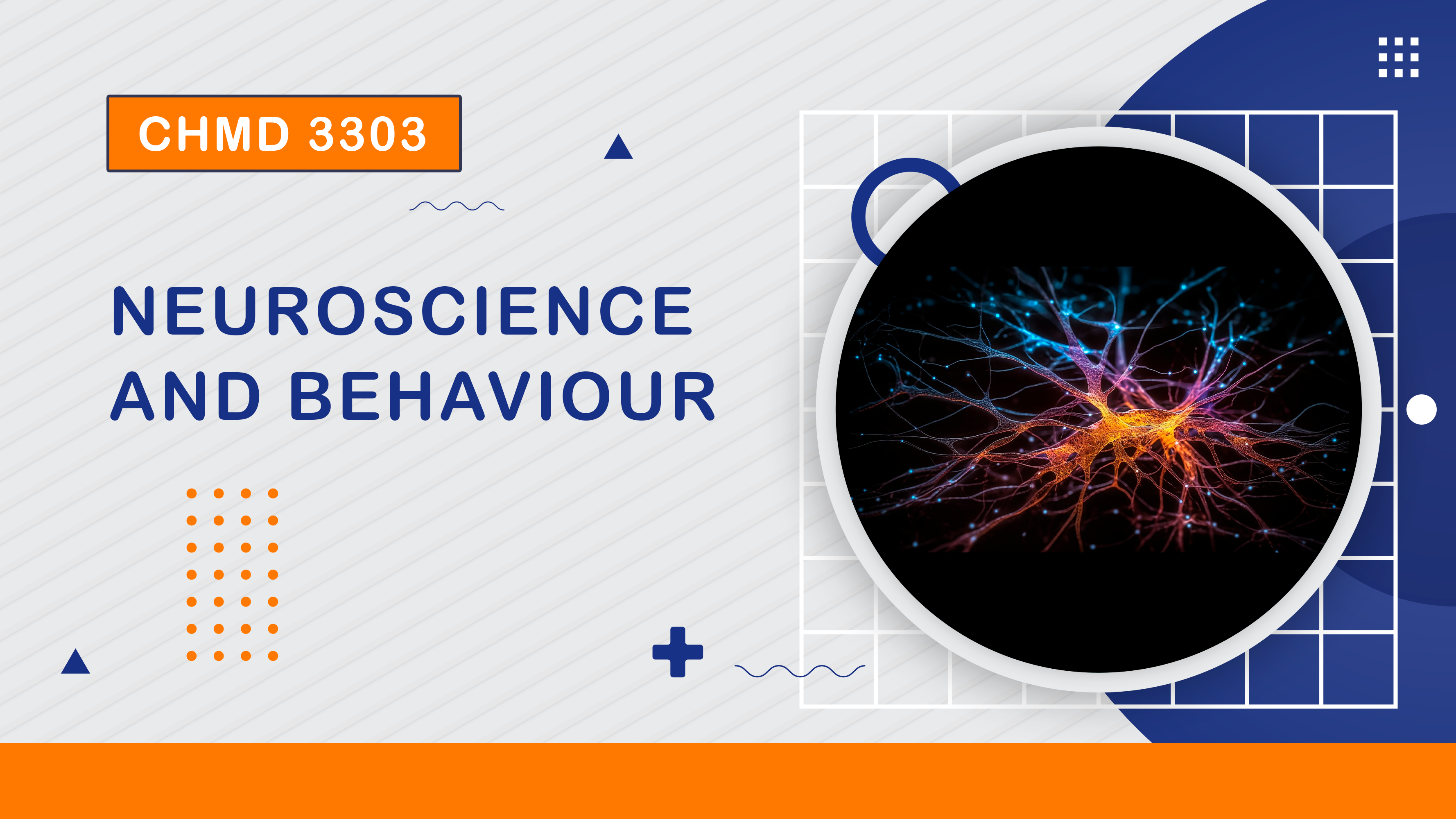 (2/2025) CHMD 3303 Neuroscience and Behaviour
