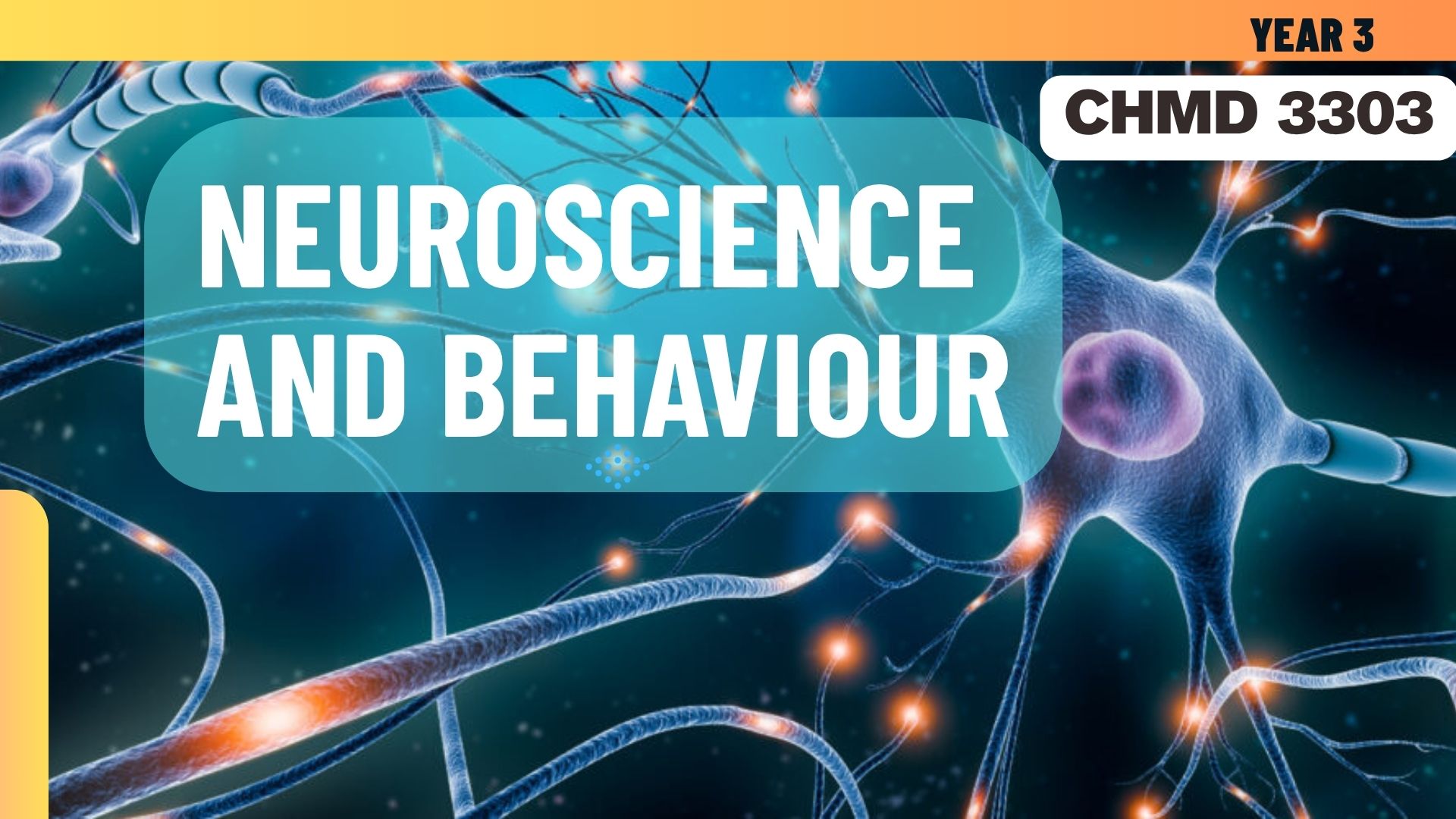(2/2025) CHMD 3303 Neuroscience and Behaviour