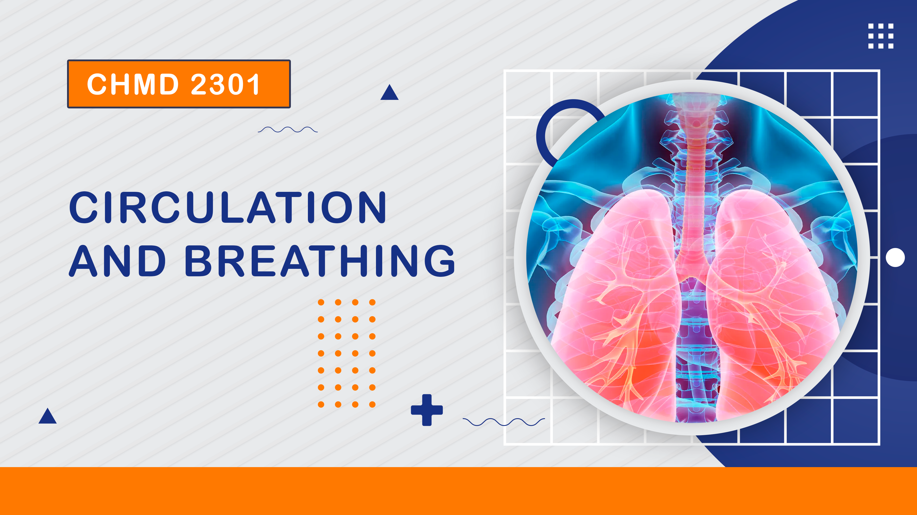 (1/2025) CHMD 2301 Circulation and Breathing