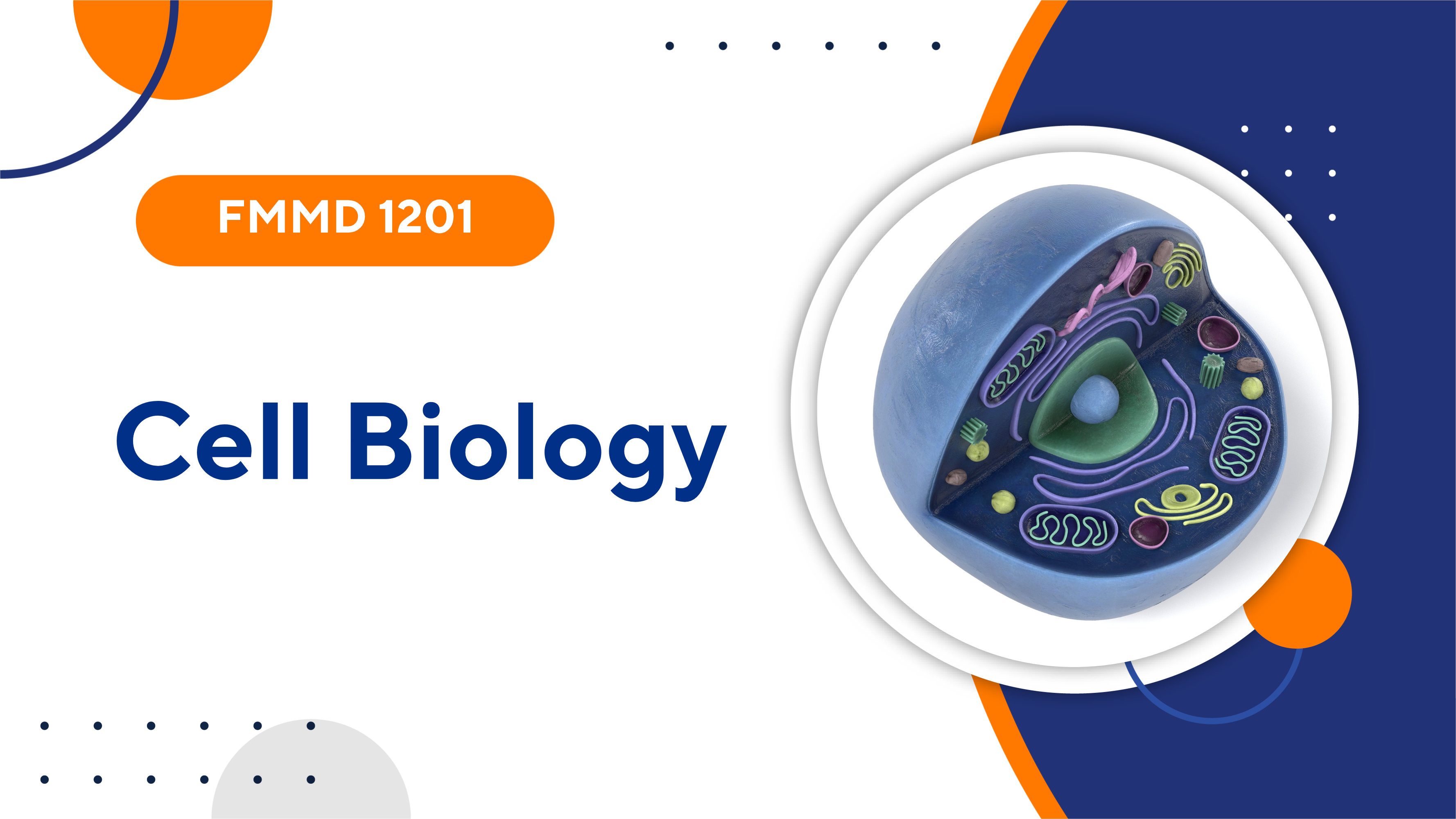 FMMD 1201 Cell Biology (1/2025)