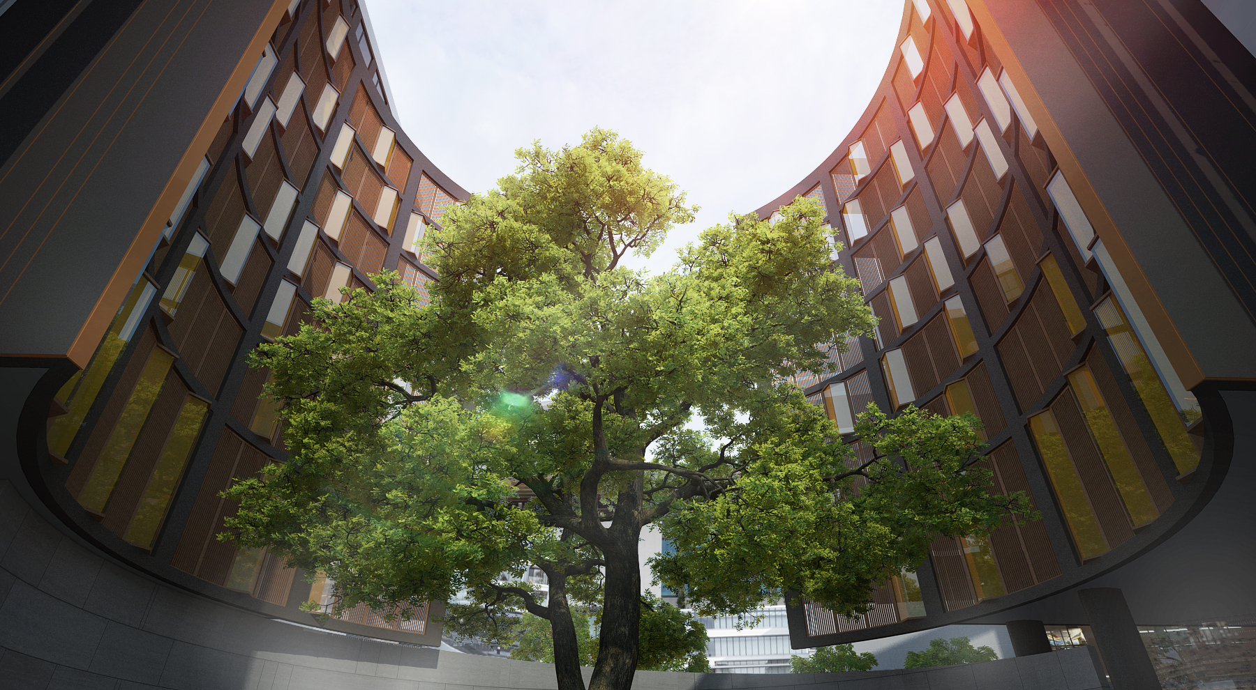 Introduction and Orientation Module (IOM) - Year 5 2026