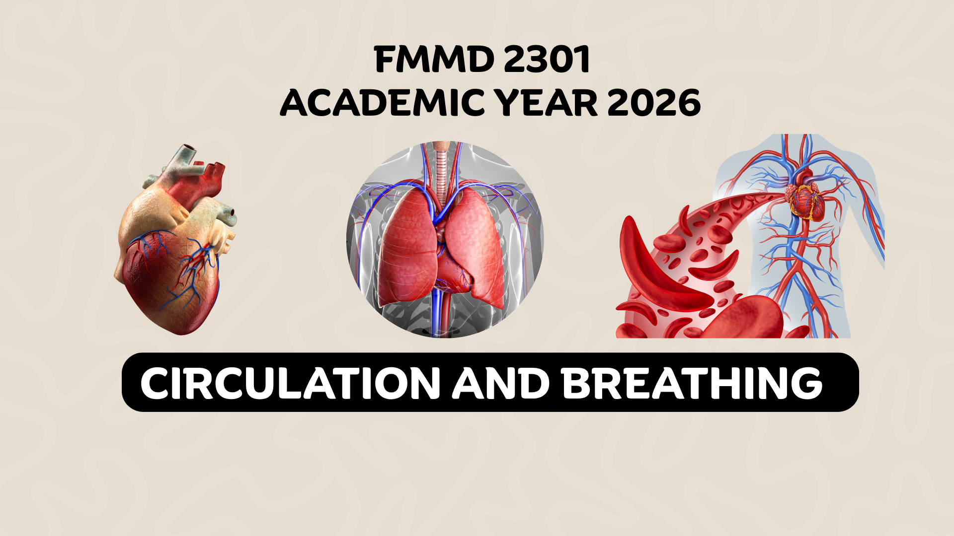 (1/2026) FMMD 2301 Circulation and Breathing