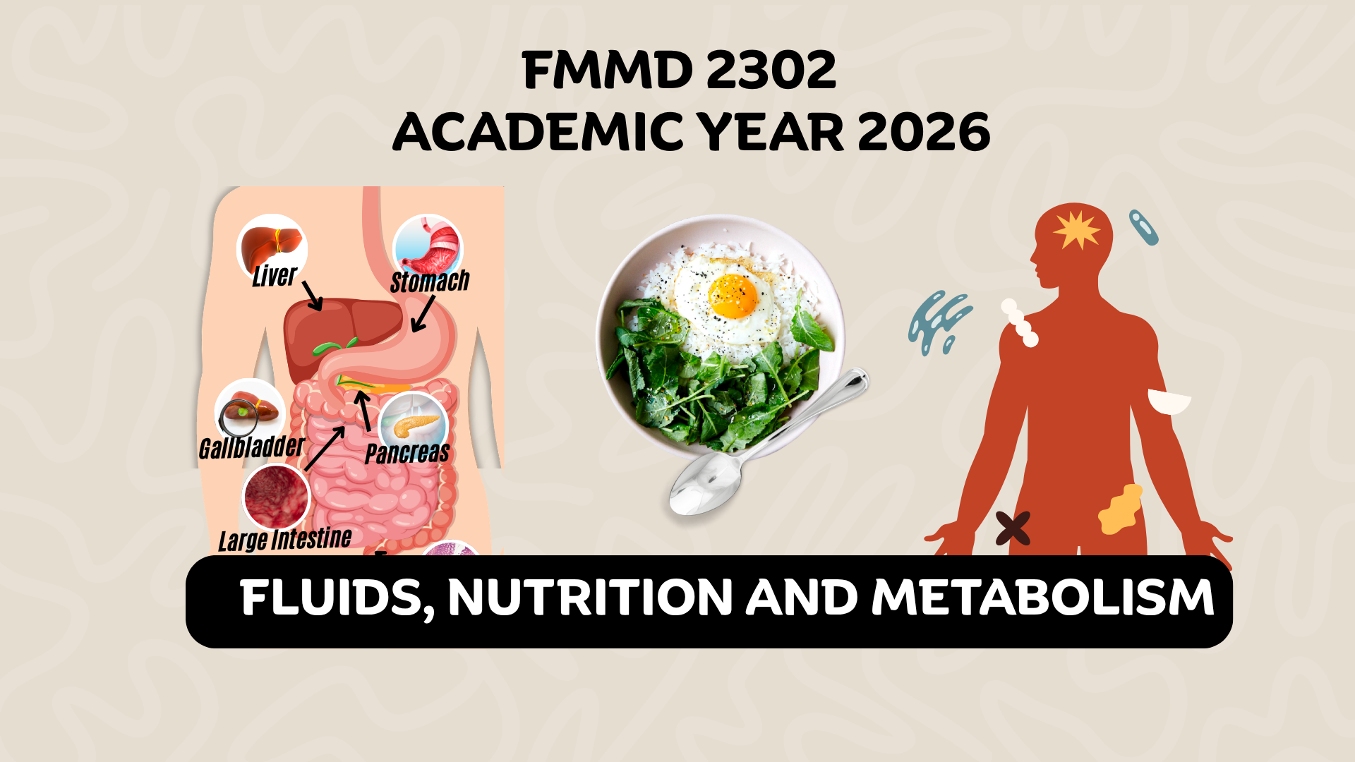 (1/2026) FMMD 2302 Fluids, Nutrition and Metabolism