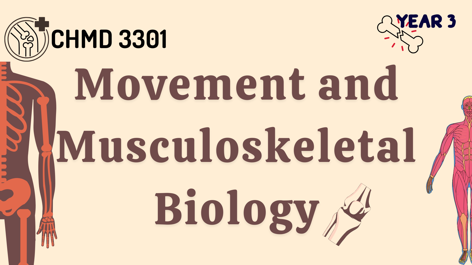 (1/2026) CHMD 3301 Movement and Musculoskeletal Biology