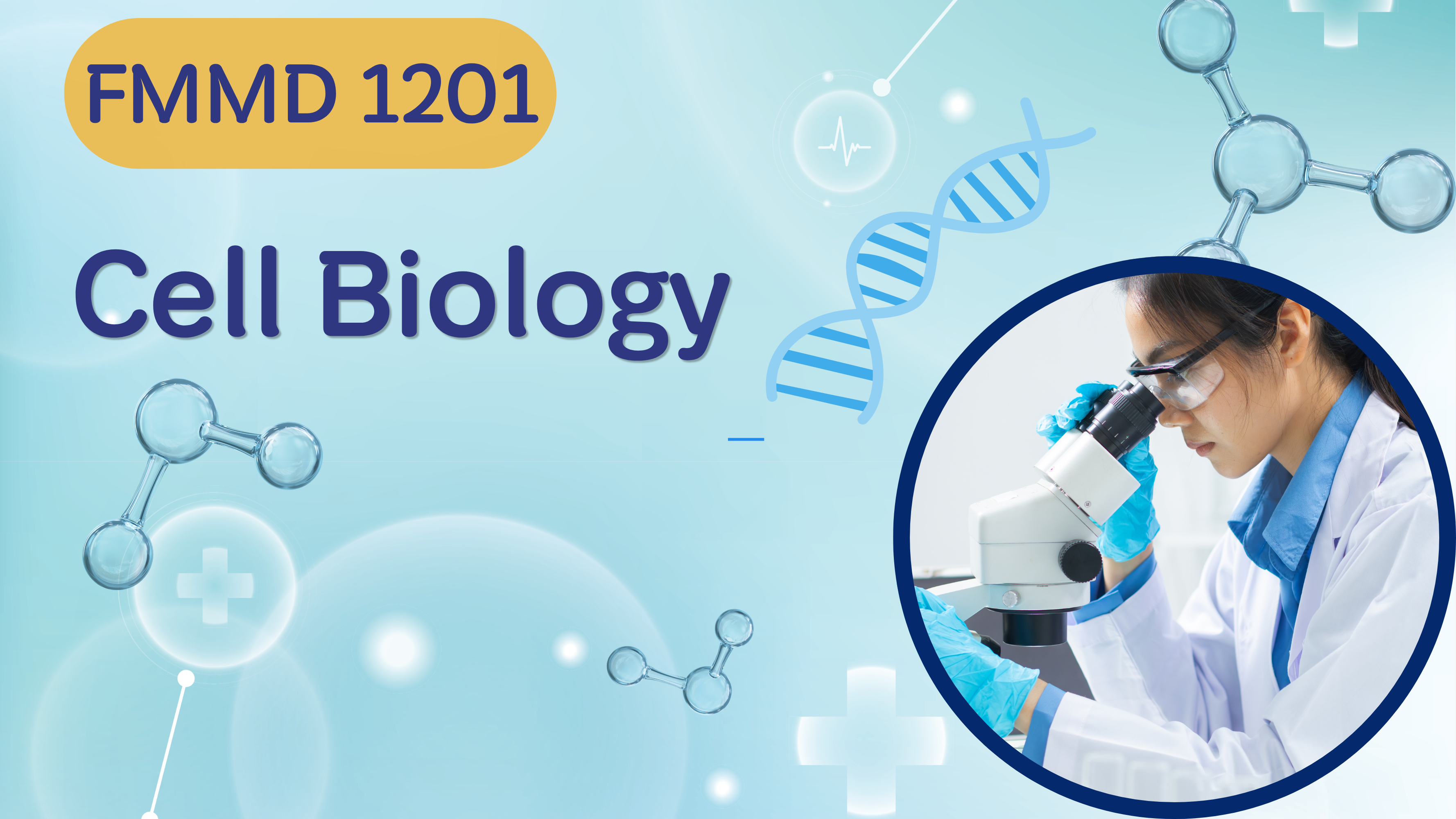 FMMD 1201 Cell Biology (1/2026)