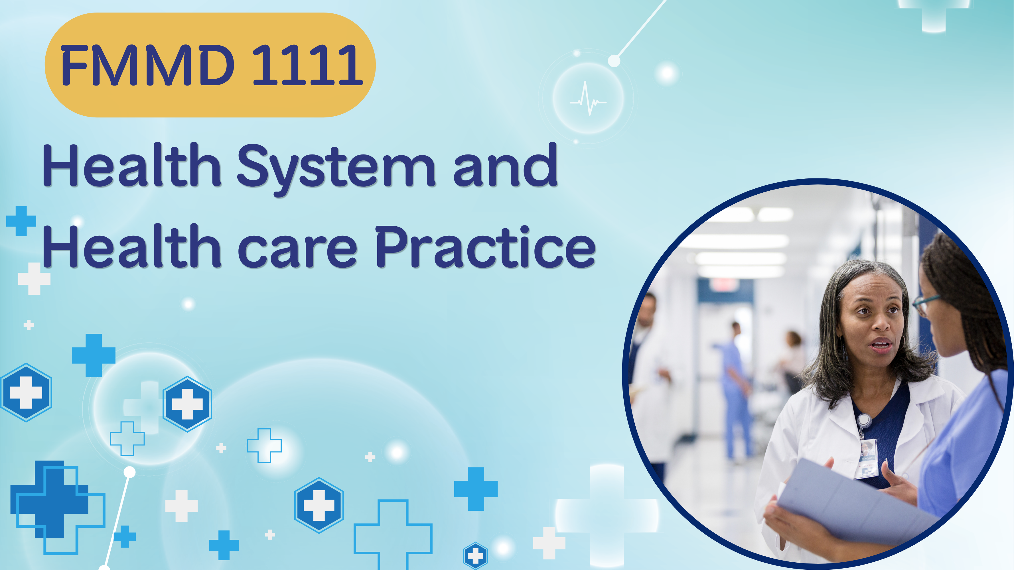 FMMD 1111 Health System and Health Care Practice (1/2026)