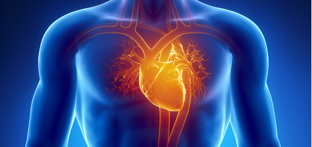 CHMD 2301 Circulation and Breathing (1/2021)