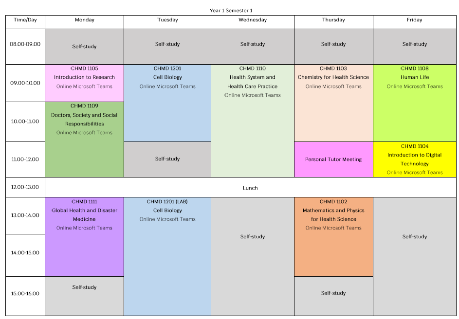 Module Timetable, Year 1